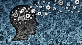 Comment la neuropédagogie influence-t-elle l’apprentissage ?