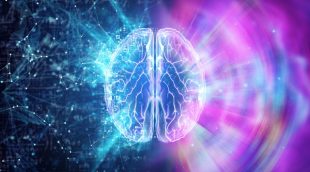 Comment effectuer une sensibilisation RSE efficace auprès de ses collaborateurs ?