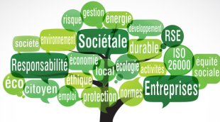 La Responsabilité Sociétale des Entreprises, sujet exclusif des Responsables Développement Durable ?