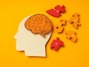 Image Article Image Representant La Memoire Avec Un Cerveau