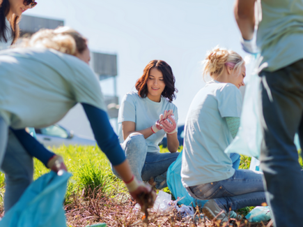 Mse Featured Image Rse