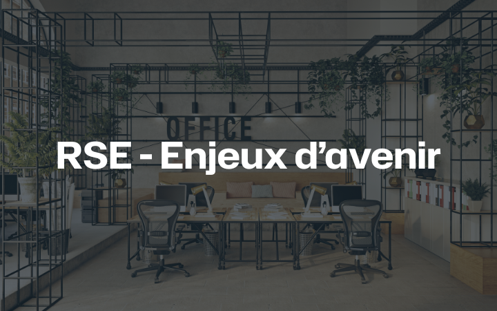 Mse Image Categorie Rse