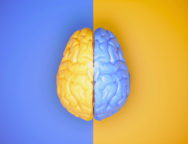 Neuromania Cerveau Deux Hemispheres