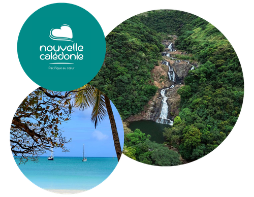 Cas Client Lms Nouvelle Caledonie