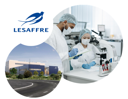 Cas Client Msm Lesaffre